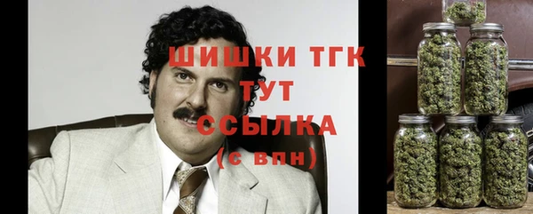 ГАЛЛЮЦИНОГЕННЫЕ ГРИБЫ Белокуриха