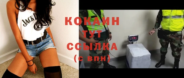 шишки Михайловка