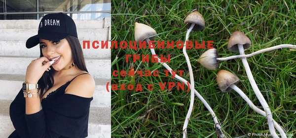ГАЛЛЮЦИНОГЕННЫЕ ГРИБЫ Белокуриха