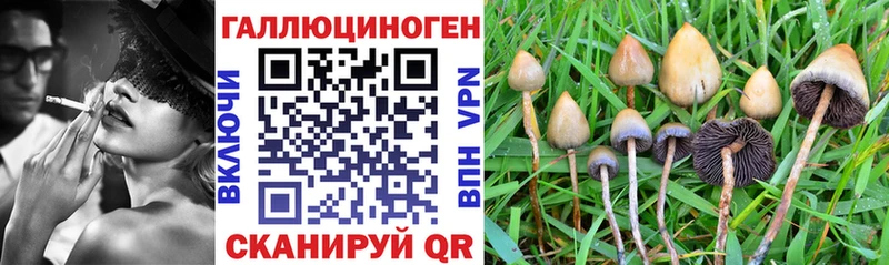 Галлюциногенные грибы Magic Shrooms  Каневская 